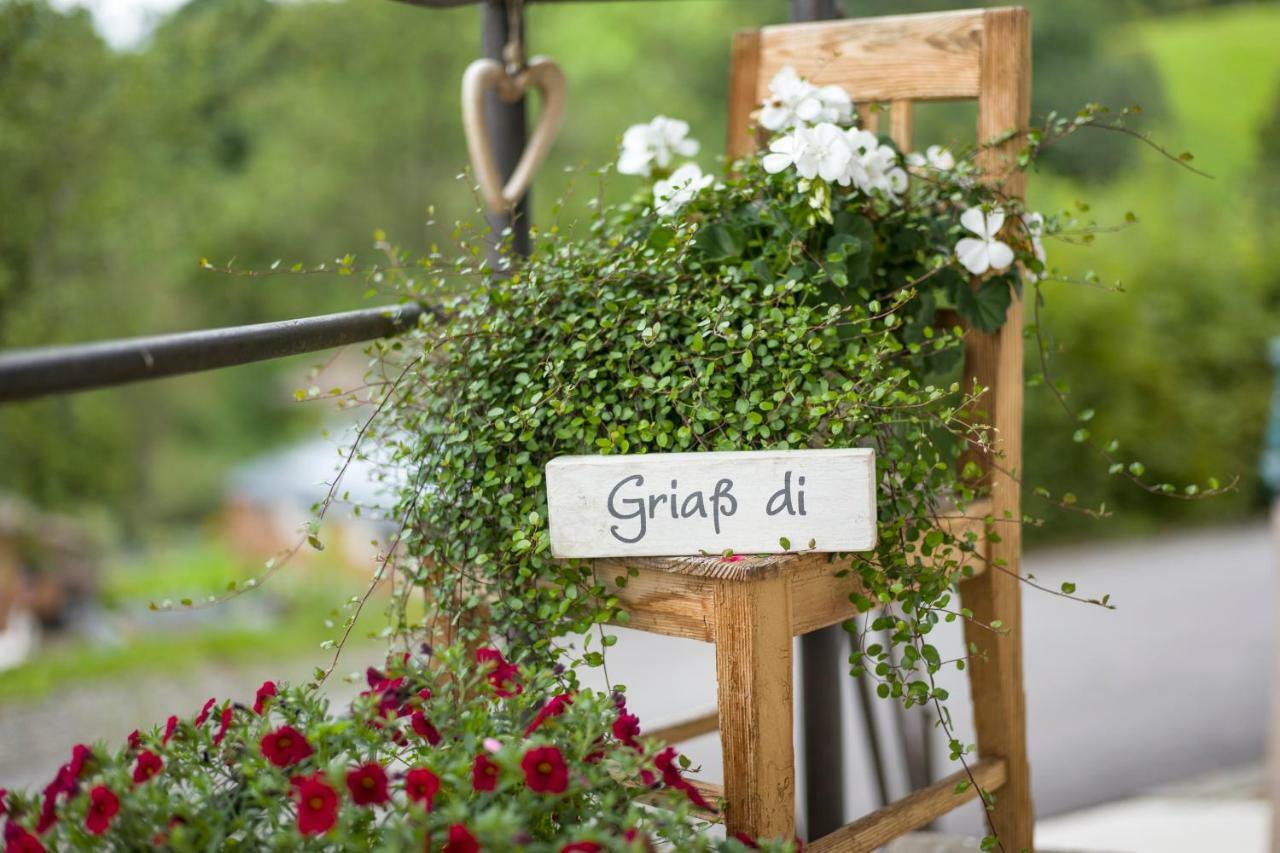 Ferienwohnung Lehenhof Hopfgarten im Brixental Ngoại thất bức ảnh